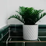 Skygarden Timişoara