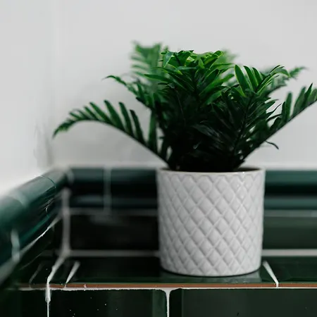 Skygarden Timişoara