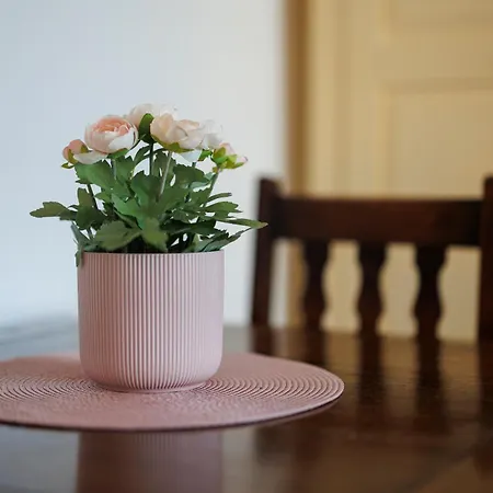 Appartement Skygarden *