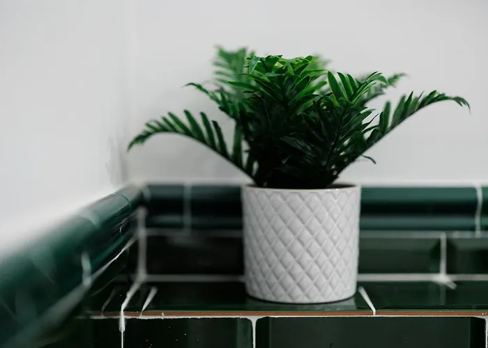 Skygarden Timişoara